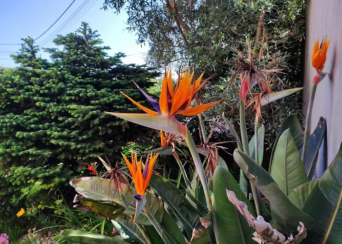 Villa Casa Com Piscina 10 Pessoas - 5 Min Da Esposende