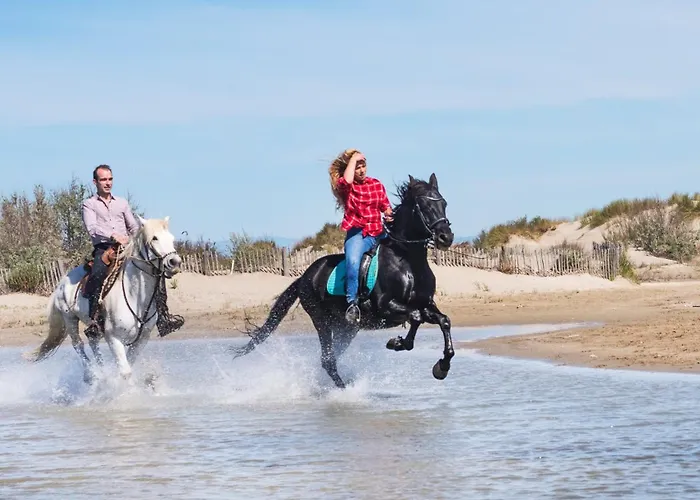 Villa Casa Com Piscina 10 Pessoas - 5 Min Da